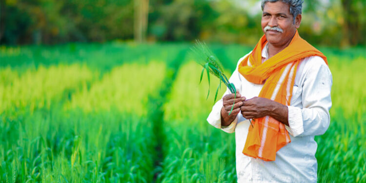 दिवाली से पहले किसानों के लिए खुशखबरी, छह रबी फसलों का MSP बढ़ा, सरकार ने 84263 करोड़ रुपये किए जारी