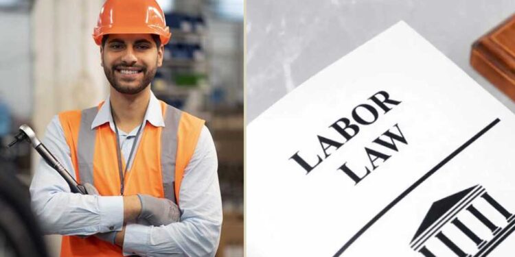 New Labour Codes: 1 अप्रैल 2026 से लागू हो सकता है नया लेबर कोड, रोजगार मंत्री ने बताया पूरा शेड्यूल