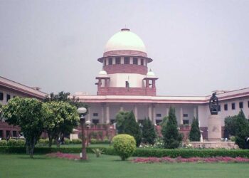 'सिर्फ काटना नहीं, एक्सीडेंट भी बड़ी आफत': आवारा कुत्तों पर सुप्रीम कोर्ट सख्त; जजों ने दिया खुद का उदाहरण