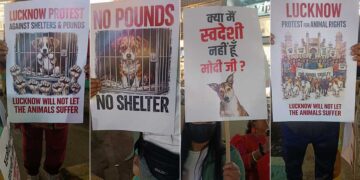 लखनऊ में पशु प्रेमियों का शांतिपूर्ण आंदोलन छठे दिन भी जारी