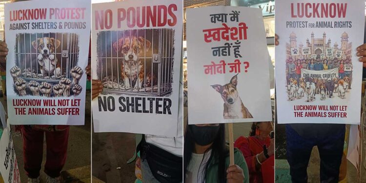 लखनऊ में पशु प्रेमियों का शांतिपूर्ण आंदोलन छठे दिन भी जारी