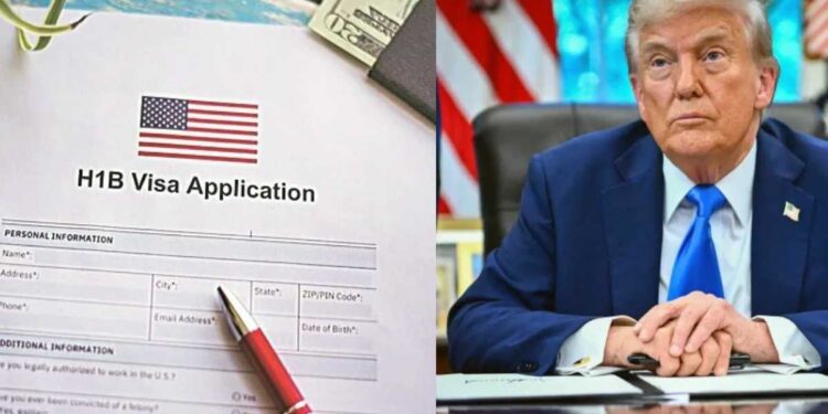 H-1B वीजा पर बड़ा खतरा, ट्रंप खेमे के सांसदों ने पेश किया बिल, विदेशी प्रोफेशनल्स के लिए मुश्किलें बढ़ीं