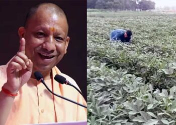 गंगा किनारे खेती में जैविक क्रांति, 3370 ऑर्गेनिक क्लस्टर से 90 हजार किसान बने आत्मनिर्भर