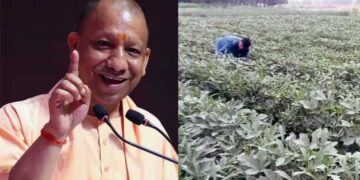 गंगा किनारे खेती में जैविक क्रांति, 3370 ऑर्गेनिक क्लस्टर से 90 हजार किसान बने आत्मनिर्भर