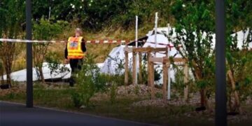France Plane Crash: पैराशूट ट्रेनिंग के दौरान बड़ा हादसा, स्कूल का विमान क्रैश, 5 छात्रों समेत 11 लोगों की मौत