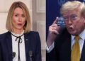 Trump की ईरान को खुली धमकी, Hormuz Strait पर EU भी सख्त! युद्ध के खतरे के बीच यूरोप ने लिया बड़ा फैसला