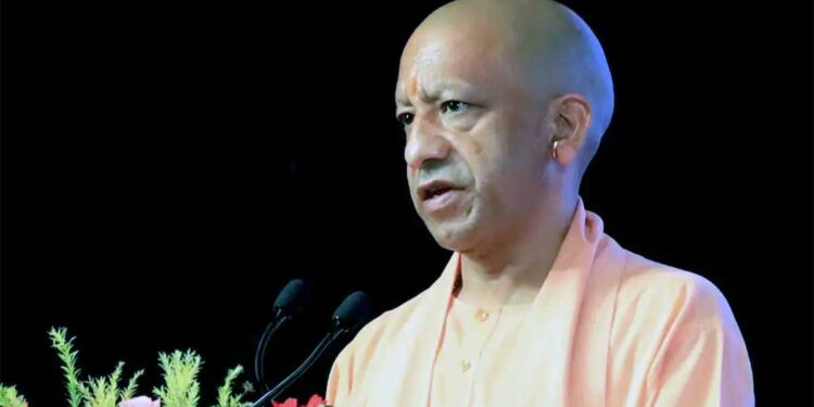 झांसी की वंदना चौधरी ने सॉफ्ट टॉयज से बदली जिंदगी, ODOP योजना ने दिखाई आत्मनिर्भरता की राह